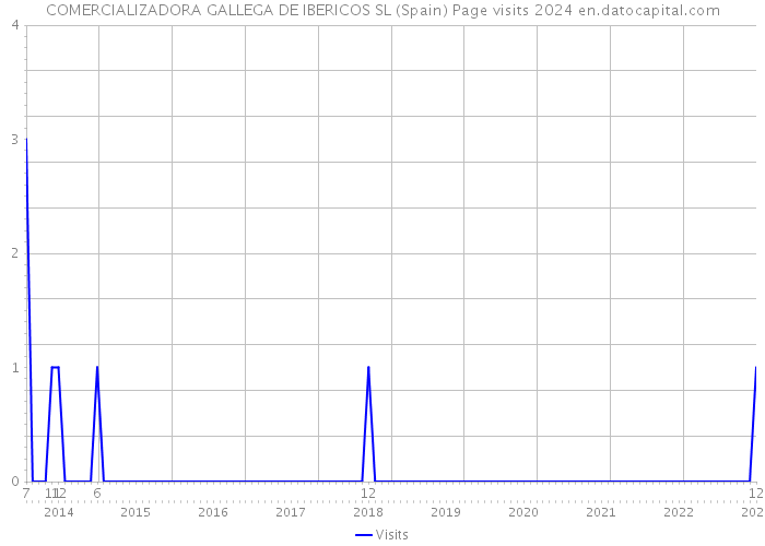 COMERCIALIZADORA GALLEGA DE IBERICOS SL (Spain) Page visits 2024 