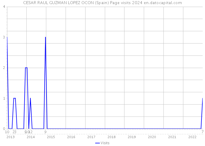 CESAR RAUL GUZMAN LOPEZ OCON (Spain) Page visits 2024 