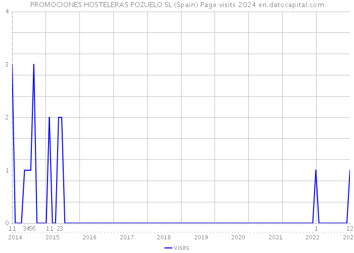 PROMOCIONES HOSTELERAS POZUELO SL (Spain) Page visits 2024 