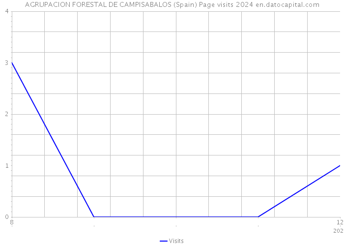 AGRUPACION FORESTAL DE CAMPISABALOS (Spain) Page visits 2024 