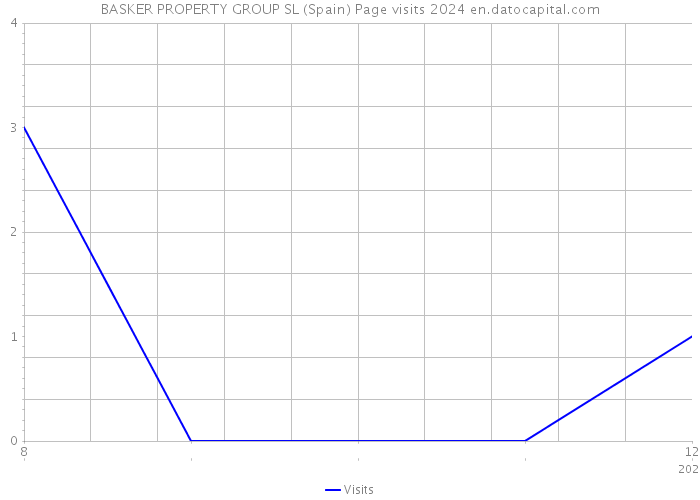 BASKER PROPERTY GROUP SL (Spain) Page visits 2024 