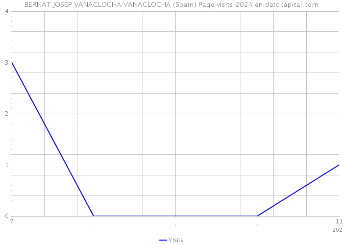 BERNAT JOSEP VANACLOCHA VANACLOCHA (Spain) Page visits 2024 