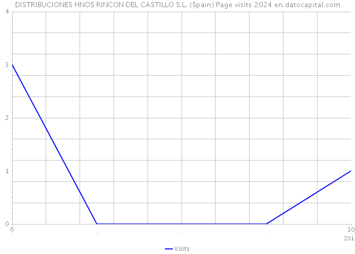 DISTRIBUCIONES HNOS RINCON DEL CASTILLO S.L. (Spain) Page visits 2024 