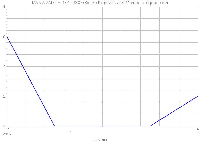 MARIA AMELIA REY PISCO (Spain) Page visits 2024 