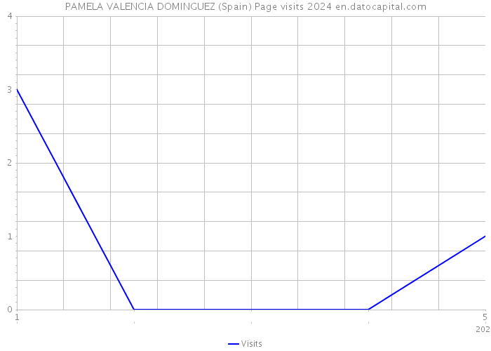 PAMELA VALENCIA DOMINGUEZ (Spain) Page visits 2024 