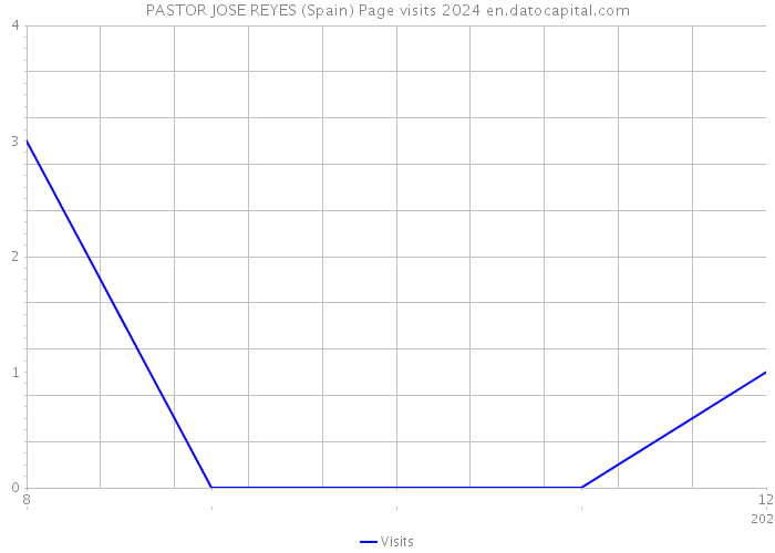 PASTOR JOSE REYES (Spain) Page visits 2024 