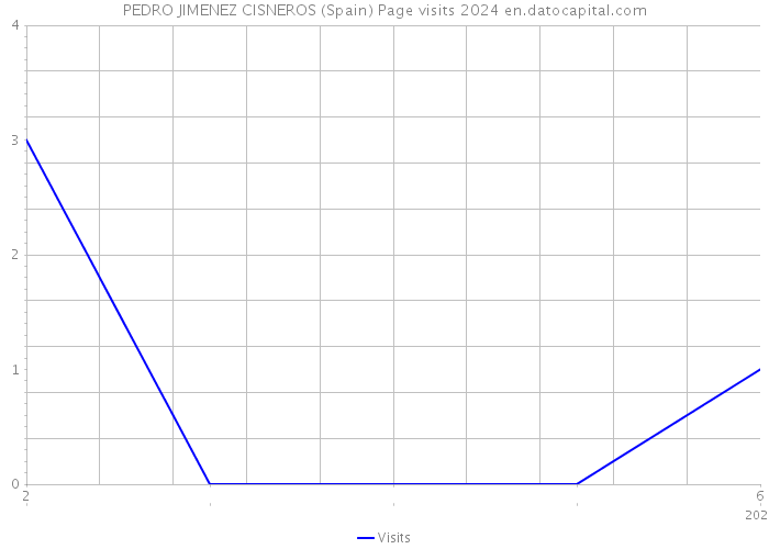 PEDRO JIMENEZ CISNEROS (Spain) Page visits 2024 