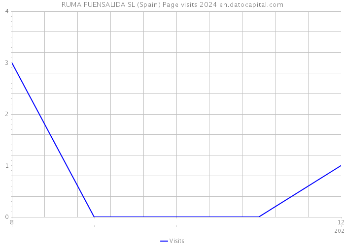 RUMA FUENSALIDA SL (Spain) Page visits 2024 