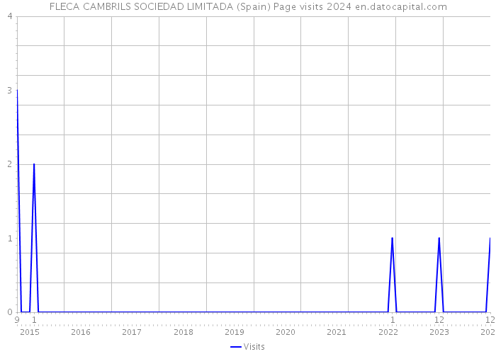 FLECA CAMBRILS SOCIEDAD LIMITADA (Spain) Page visits 2024 