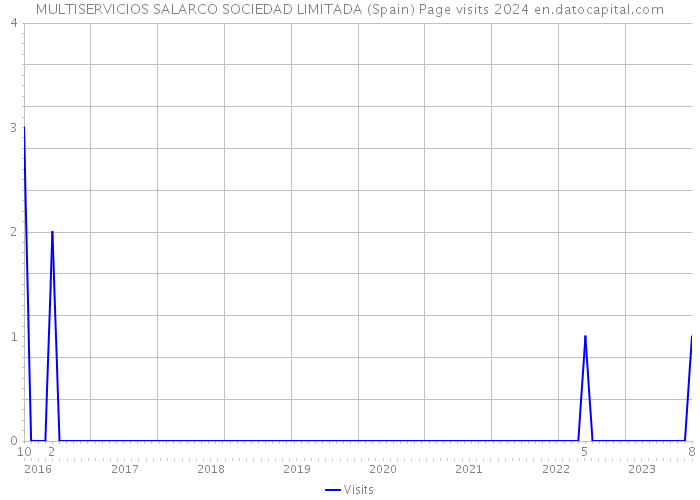 MULTISERVICIOS SALARCO SOCIEDAD LIMITADA (Spain) Page visits 2024 