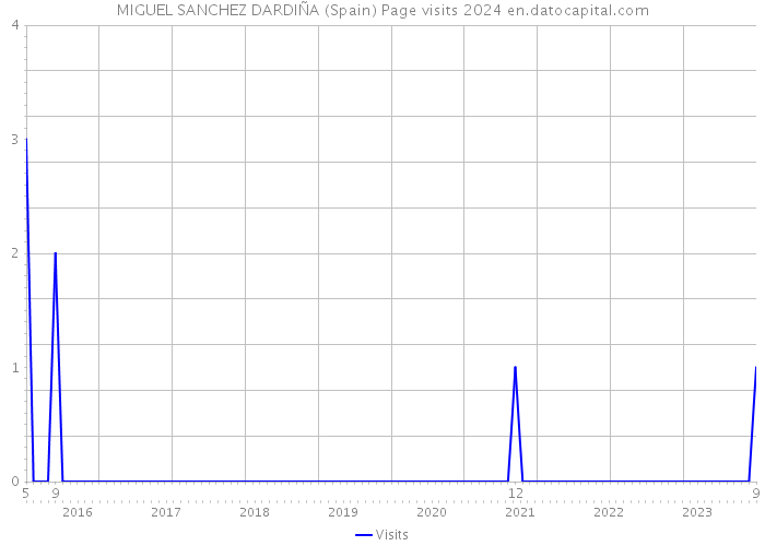 MIGUEL SANCHEZ DARDIÑA (Spain) Page visits 2024 