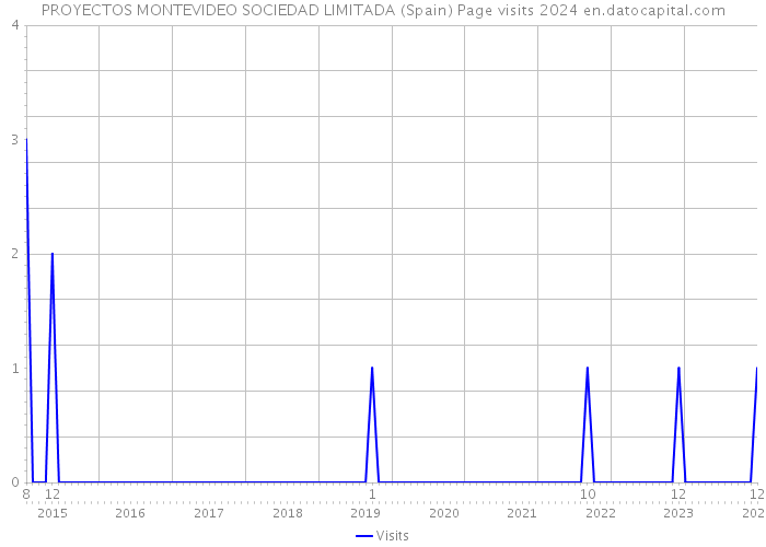 PROYECTOS MONTEVIDEO SOCIEDAD LIMITADA (Spain) Page visits 2024 