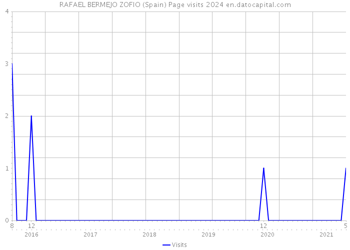 RAFAEL BERMEJO ZOFIO (Spain) Page visits 2024 