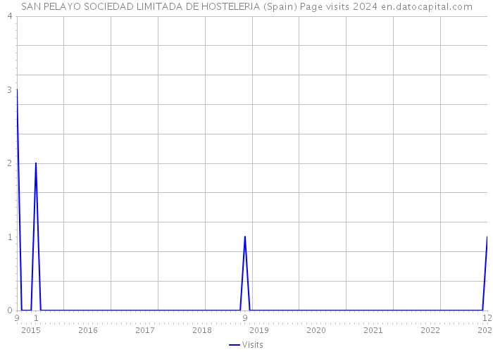 SAN PELAYO SOCIEDAD LIMITADA DE HOSTELERIA (Spain) Page visits 2024 