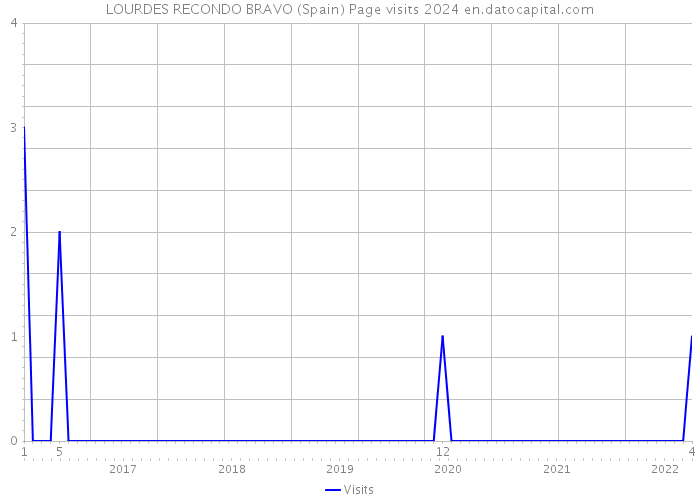 LOURDES RECONDO BRAVO (Spain) Page visits 2024 