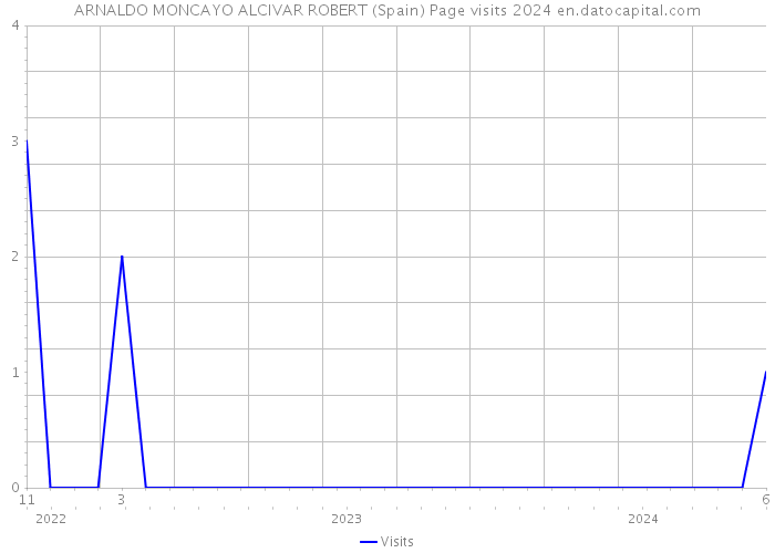 ARNALDO MONCAYO ALCIVAR ROBERT (Spain) Page visits 2024 