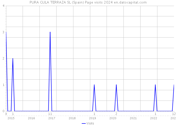 PURA GULA TERRAZA SL (Spain) Page visits 2024 