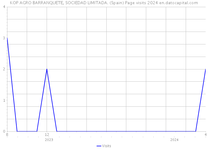 KOP AGRO BARRANQUETE, SOCIEDAD LIMITADA. (Spain) Page visits 2024 