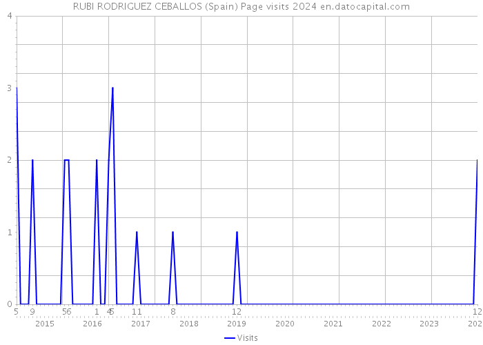 RUBI RODRIGUEZ CEBALLOS (Spain) Page visits 2024 