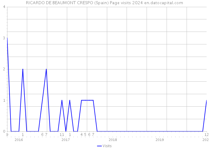 RICARDO DE BEAUMONT CRESPO (Spain) Page visits 2024 