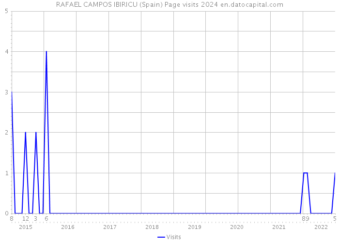 RAFAEL CAMPOS IBIRICU (Spain) Page visits 2024 