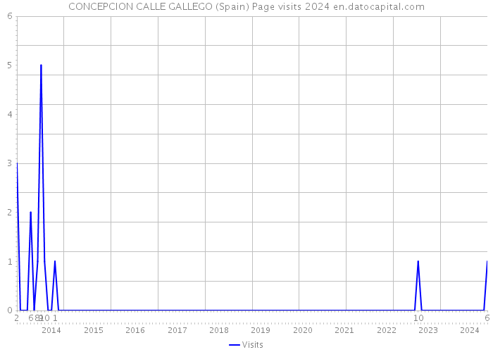 CONCEPCION CALLE GALLEGO (Spain) Page visits 2024 