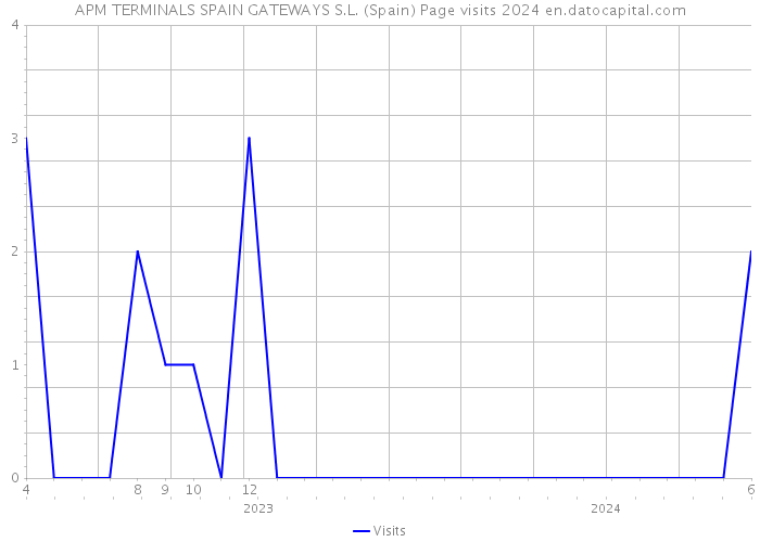 APM TERMINALS SPAIN GATEWAYS S.L. (Spain) Page visits 2024 