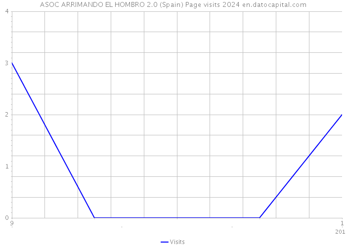 ASOC ARRIMANDO EL HOMBRO 2.0 (Spain) Page visits 2024 