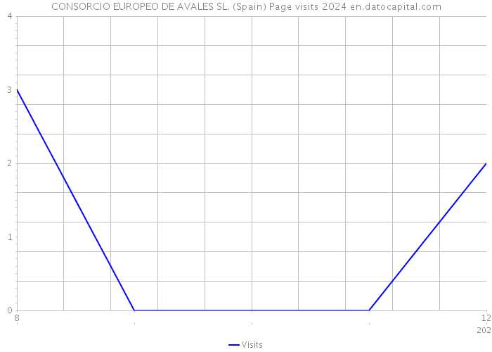 CONSORCIO EUROPEO DE AVALES SL. (Spain) Page visits 2024 