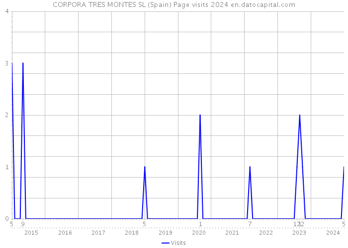 CORPORA TRES MONTES SL (Spain) Page visits 2024 