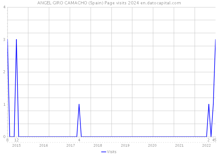 ANGEL GIRO CAMACHO (Spain) Page visits 2024 