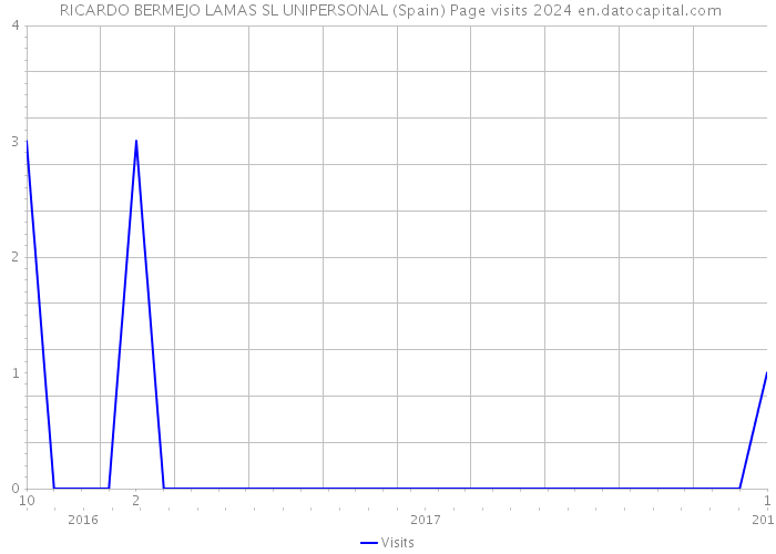  RICARDO BERMEJO LAMAS SL UNIPERSONAL (Spain) Page visits 2024 