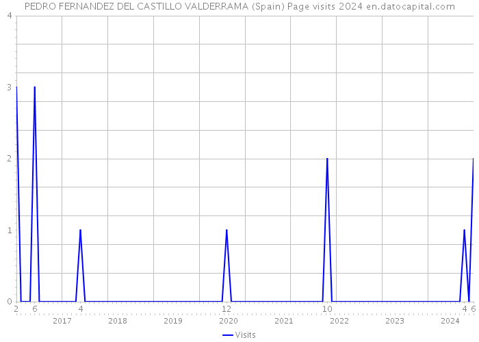 PEDRO FERNANDEZ DEL CASTILLO VALDERRAMA (Spain) Page visits 2024 