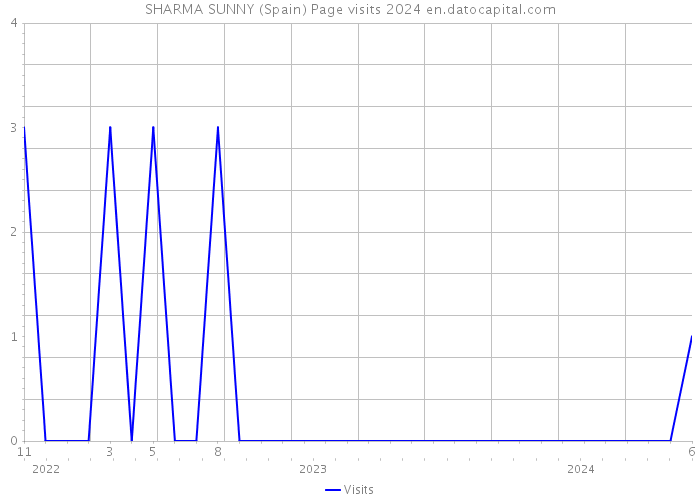 SHARMA SUNNY (Spain) Page visits 2024 