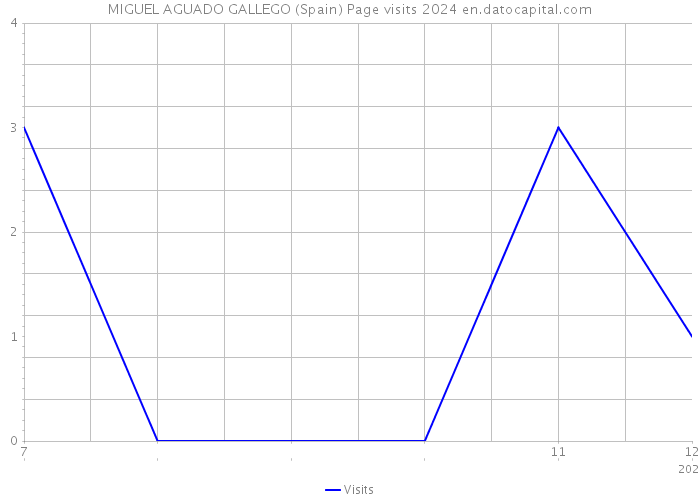 MIGUEL AGUADO GALLEGO (Spain) Page visits 2024 