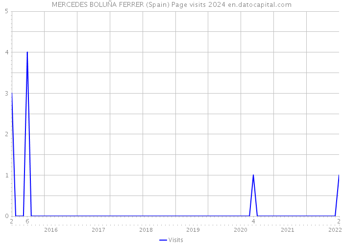 MERCEDES BOLUÑA FERRER (Spain) Page visits 2024 