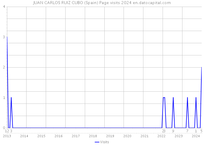 JUAN CARLOS RUIZ CUBO (Spain) Page visits 2024 