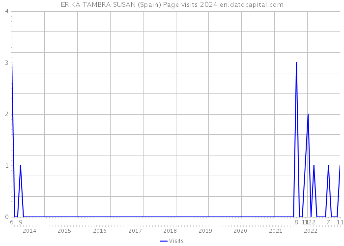 ERIKA TAMBRA SUSAN (Spain) Page visits 2024 