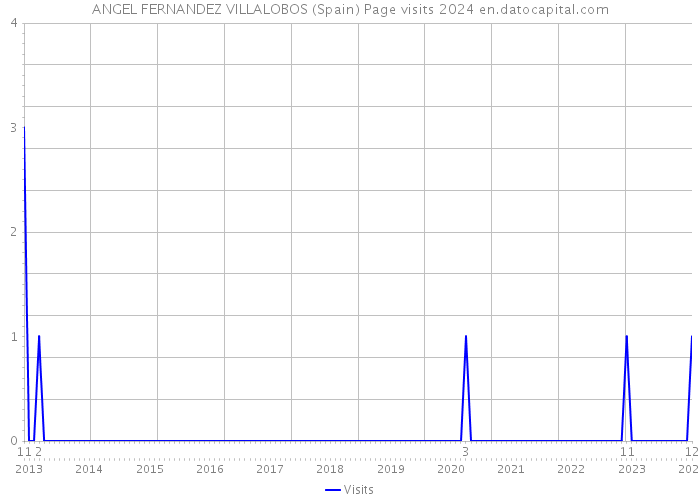 ANGEL FERNANDEZ VILLALOBOS (Spain) Page visits 2024 