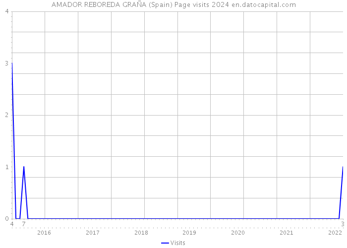 AMADOR REBOREDA GRAÑA (Spain) Page visits 2024 