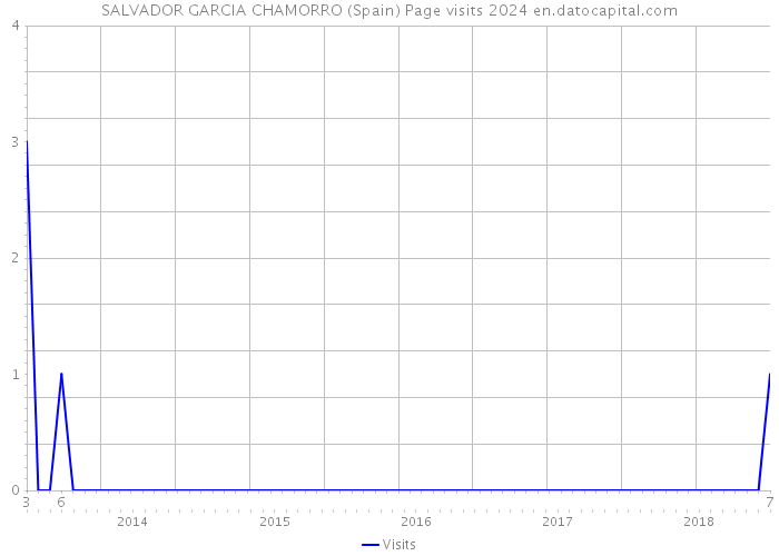 SALVADOR GARCIA CHAMORRO (Spain) Page visits 2024 