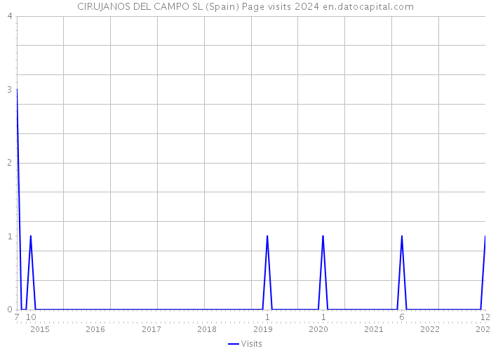 CIRUJANOS DEL CAMPO SL (Spain) Page visits 2024 