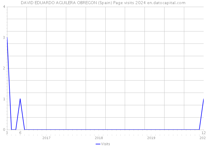 DAVID EDUARDO AGUILERA OBREGON (Spain) Page visits 2024 