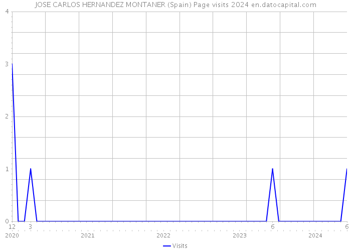 JOSE CARLOS HERNANDEZ MONTANER (Spain) Page visits 2024 