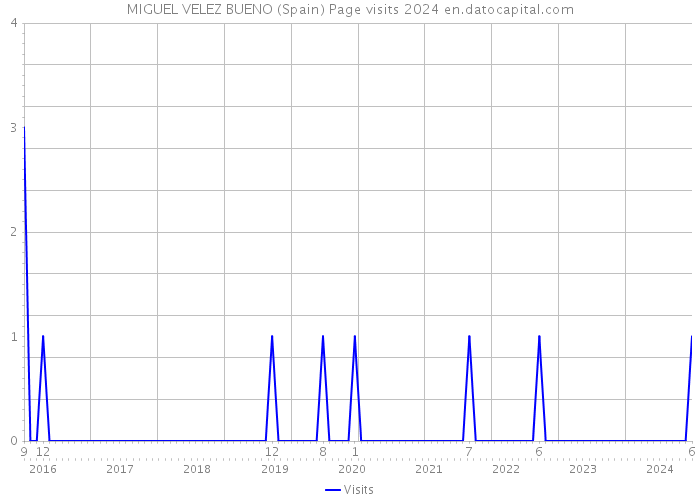 MIGUEL VELEZ BUENO (Spain) Page visits 2024 