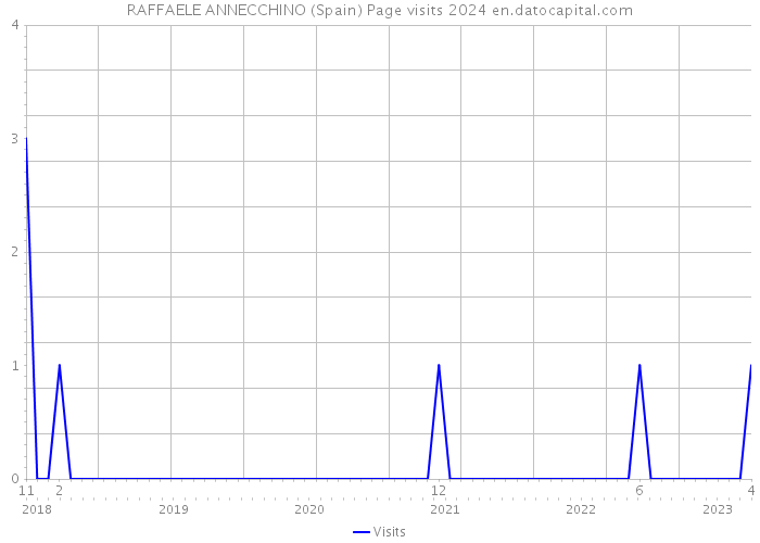 RAFFAELE ANNECCHINO (Spain) Page visits 2024 