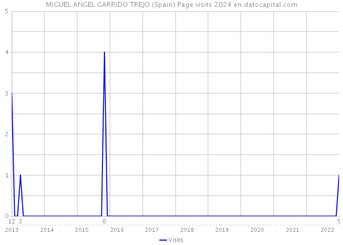 MIGUEL ANGEL GARRIDO TREJO (Spain) Page visits 2024 