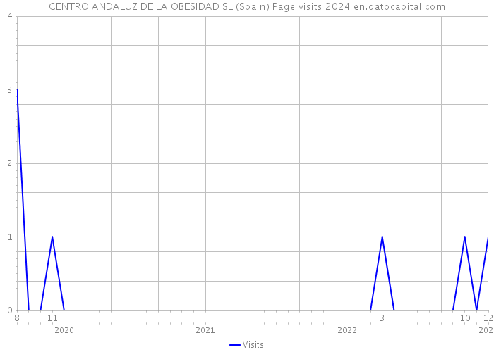 CENTRO ANDALUZ DE LA OBESIDAD SL (Spain) Page visits 2024 