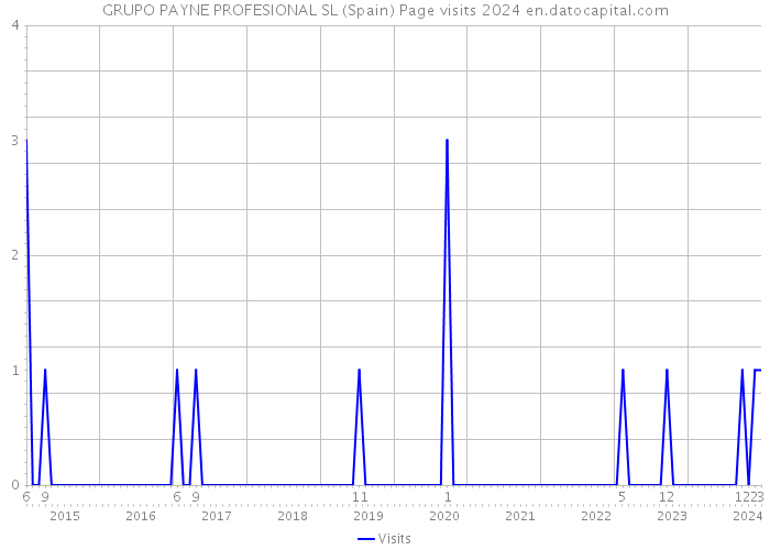 GRUPO PAYNE PROFESIONAL SL (Spain) Page visits 2024 
