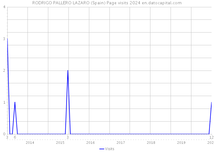 RODRIGO PALLERO LAZARO (Spain) Page visits 2024 
